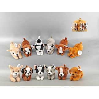 Hund Mjukis 6 olika färger 14 cm Hund Mjukis 6 olika färger 14 cm