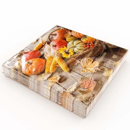 Kaffeservetter Skördekorg 25x25 cm 20-pack