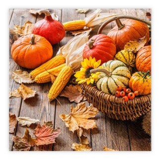 Kaffeservetter Skördekorg 25x25 cm 20-pack