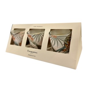 Doftljus 3-pack Frangipani Glas