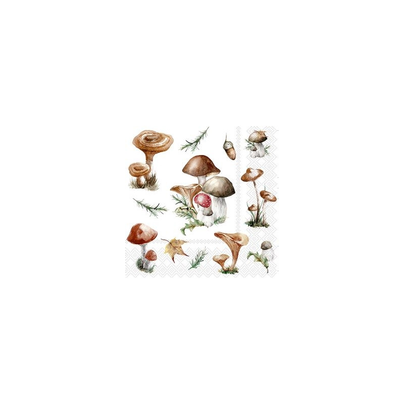 Servett Svampar 20-pack