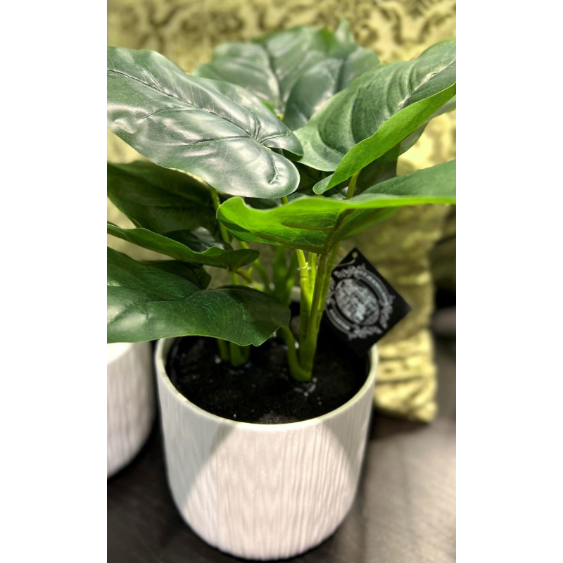 Konstgjord Växt Philodendron 35 cm