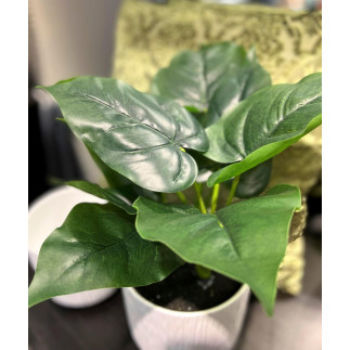 Konstgjord Växt Philodendron 35 cm