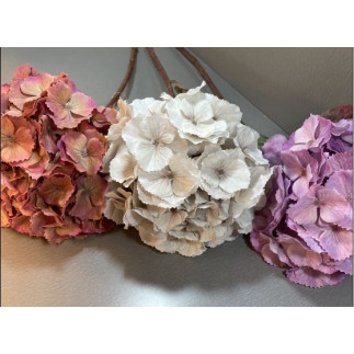 Hortensia Klot Lila 70 cm