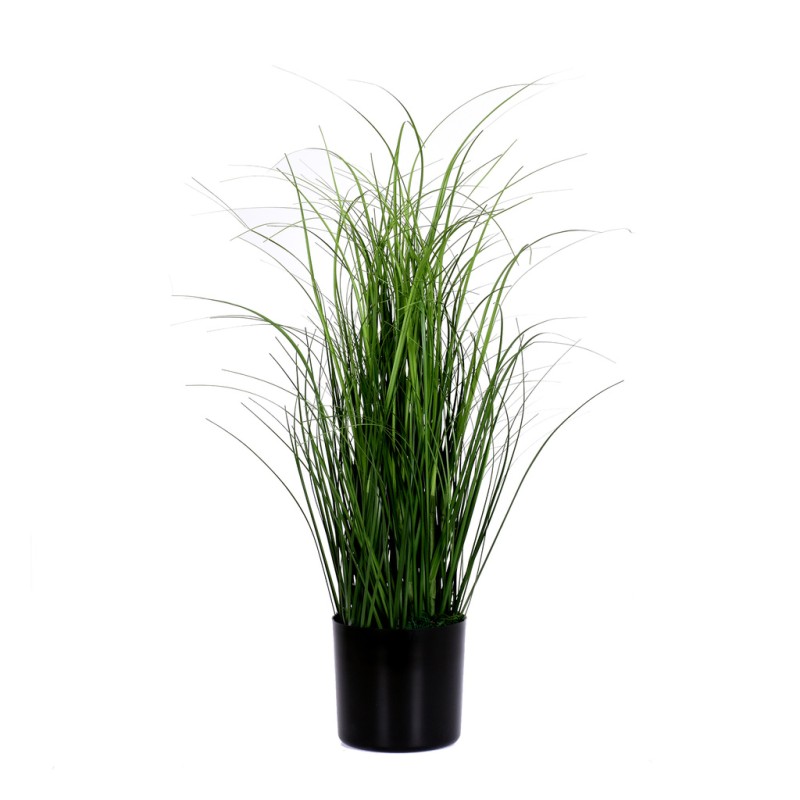 Dekorationsgräs i kruka H55 cm Dekorationsgräs i kruka H55 cm
