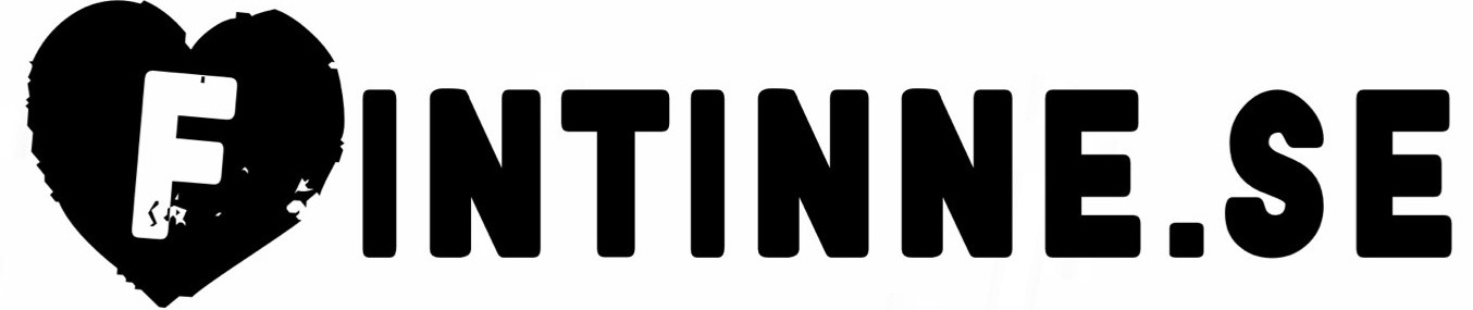 FINTinne.se
